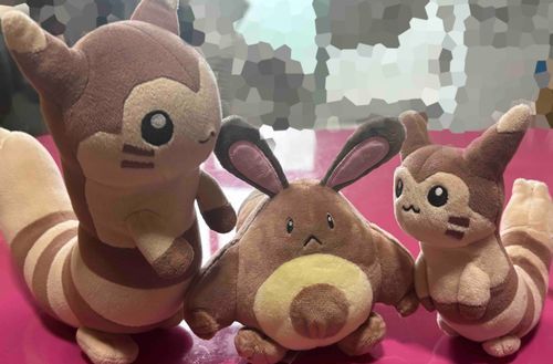 オタチ族揃ったー‼️
真ん中の子お迎えした♡