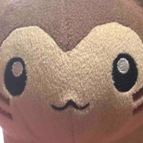 ドアップオオタチ
