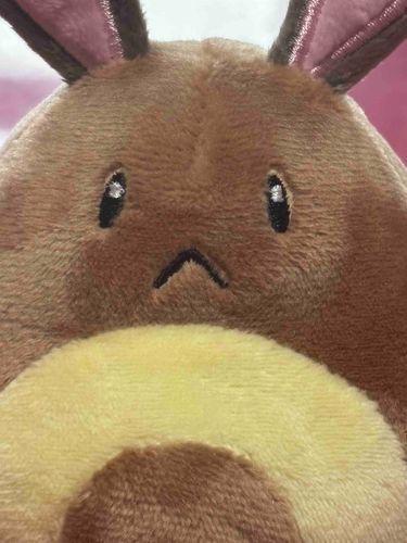 ドアップオタチ