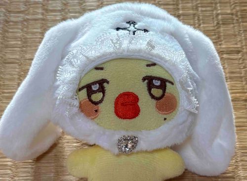 うさピョンミンだぴょん🐥