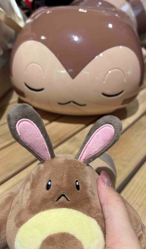 我が家のオタチと寝てるオオタチ見てきた‼️(ツーショットも添えて)