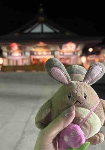お久しぶりです！
明けましておめでとうございます‼️オタチと初詣に行ってきました✨️