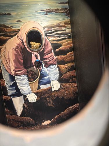 ずっと行ってみたかった
仙台うみの杜水族館だよ
海人さんになってきたよ