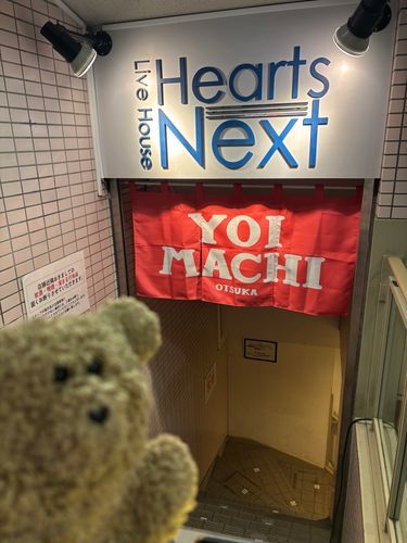 フェスに行ったよ〜