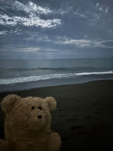 そういえば夜光虫見に行ったよ
ツーショットは撮れなかったけど
いっぱい光っててすごかったよ〜
満月だから昼みたいに明るかった！
