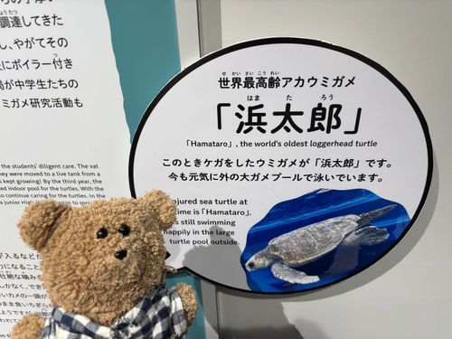 熊五郎と浜太郎