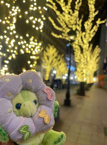 さんちかでぽかぽかになって、もう少し歩いてたら今度はキラキラ🤩
素敵な街だー