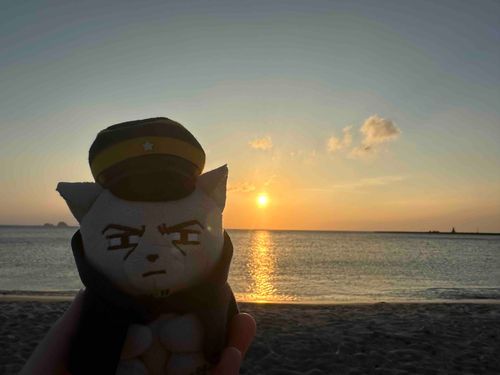 🌅🌊