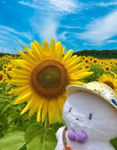 ﾋﾏﾜﾘ　ｱﾂｸﾃﾓ　ｹﾞﾝｷ