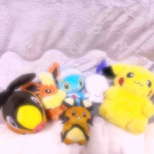 ぬくぬくおふとん💤
