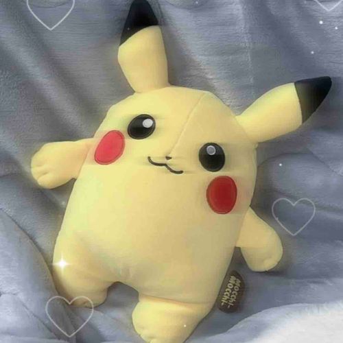 新入りのピカ様