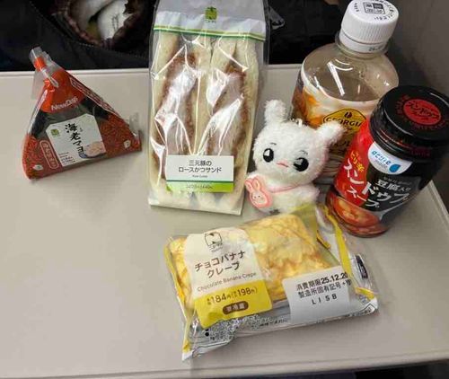 新幹線グリーン車で優雅に帰りました