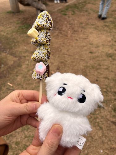 お姉ちゃんとお花見してきたよ