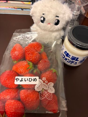 いちご狩りなどをしてきたよ🍓