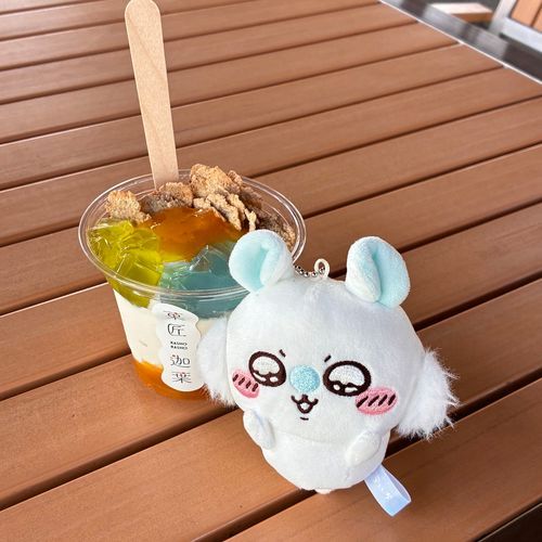 今日はょにゃたちお留守番で、代わりにモモンガちゃんが来ました