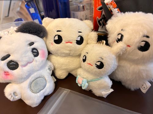なんと、新しい仲間‼️🆕(1番左)
テョングラミちゃんというお名前です
