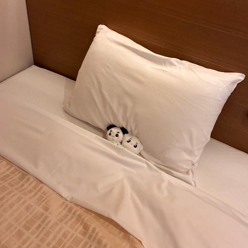 ベッドを独占された