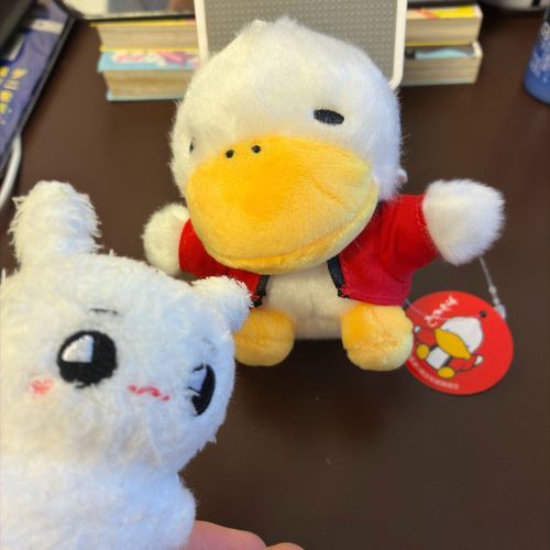 巣鴨に行った時に一目惚れして迎えた「すがもん」
お店のおばちゃんに、一人一人よ〜く見ると顔の作りが違うから、これだ！と思ったのを選んでいいのよ〜って言われて、うちに来たそうな(?)すがもんに来てもらいました⁎◕  ̫ ◕ ようこそ
