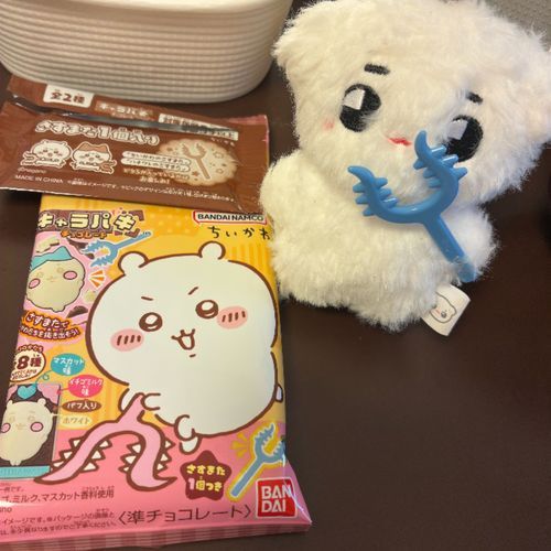 なんと、さすまたゲット