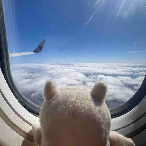 すごい！！雲の上にいるよ！