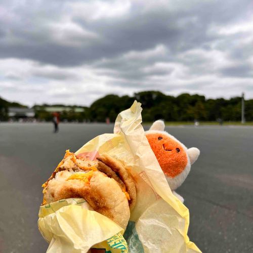 こうきょがいえんでハンバーガーを食べてしょみんをあじわったよ
