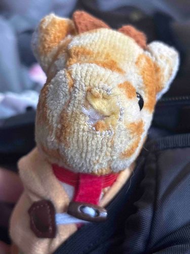 今から学校向かうよ！
カバンの中はきりりの特等席☺️