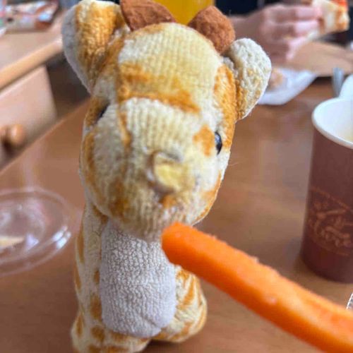 テスト終わったー！
きりりはご褒美の人参スティック食べる🥕🥕🥕🥕🥕