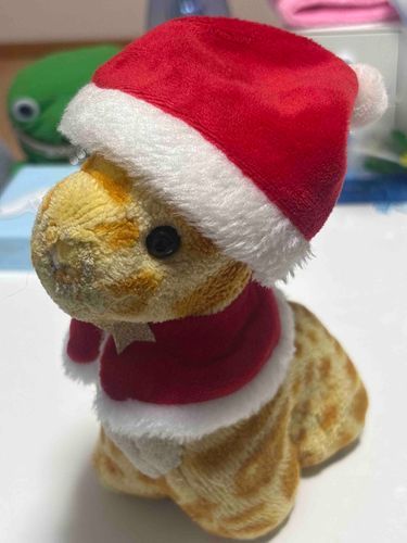 メリークリスマス🎄🎅✨