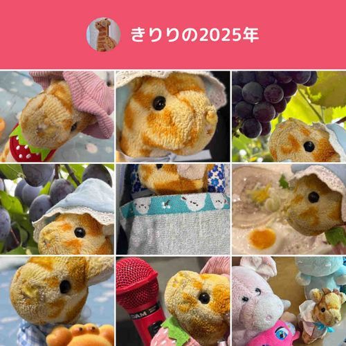きりりの2025年！
今年はふわもこSNSを始めたよぉ♡
たくさんの可愛いぬいさんとお友達になれて、きりりすごい嬉しかったよぉ♡
来年もよろしくねぇ🙏😊
