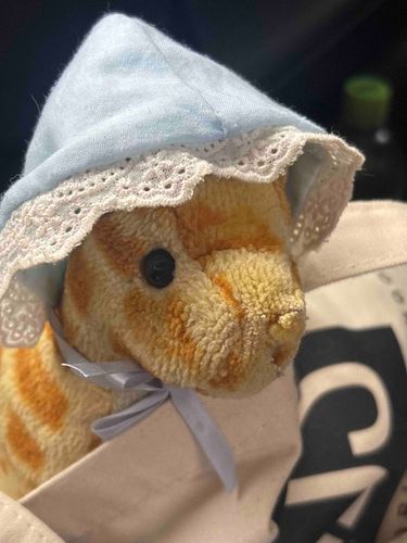 今から主の車校に行ってくるよ(ง •̀_•́)ง
きりり応援するよー！ハンドルしっかり持つんだよぉー！🙌🙌

