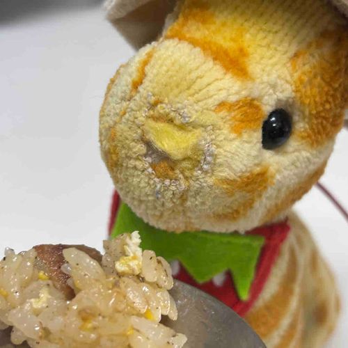 2月5日は双子の日だったみたい…
きりり今知ったよぉ〰️😭ショック😱
双子の主になにかお祝いしなくちゃね💕︎
この写真は最近ラーメン屋さんでチャーハン食べたの🍜その時のやつ✨
きりりラーメンじゃなくてチャーハン頼みがちなの〜！🤭ラーメンは塩が好き♡
