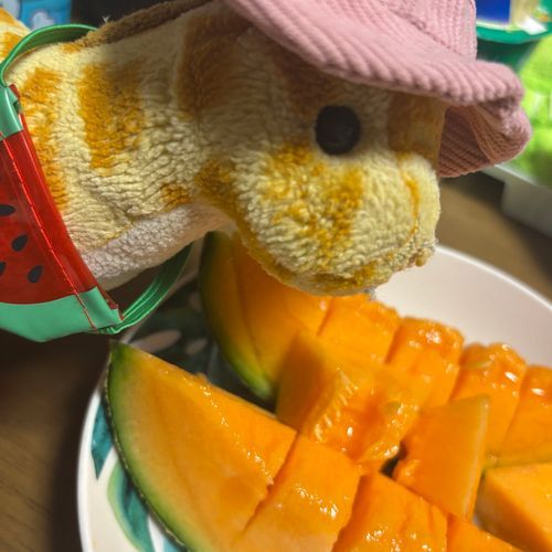 メロン🍈🍈
甘くて美味しかった😍
カバンはスイカ🍉だけどね👜