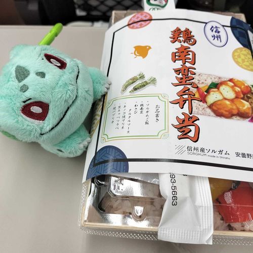 新幹線の旅の時は、駅弁食べるらしいー！
