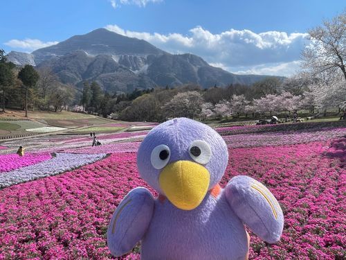 トントン