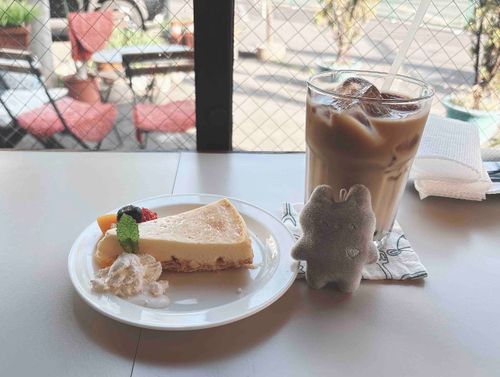ちょっとおさんぽして、チーズケーキを食べました。癒される👐