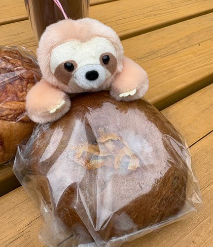 朝活〜☀️
オレンジチョコのベーグルを公園で食べたよ〜☀️