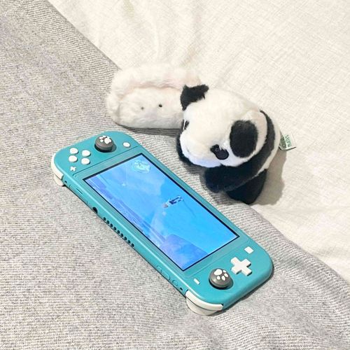 パンダとゲームした