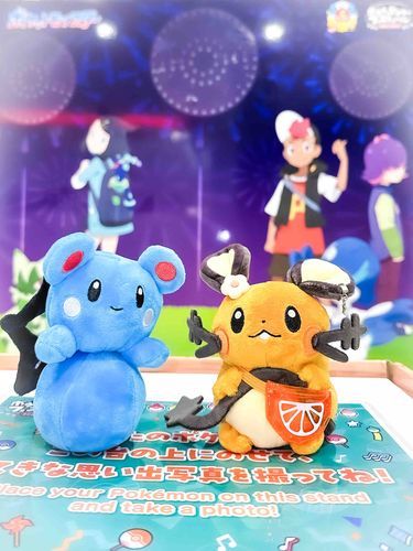 新しいお友達ルリリ！
ポケセンでパシャリ