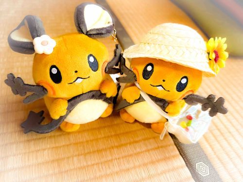 お友達のデデンネと出会った！
そして気づいた…うちの子ちょっとお顔がでかくないか？