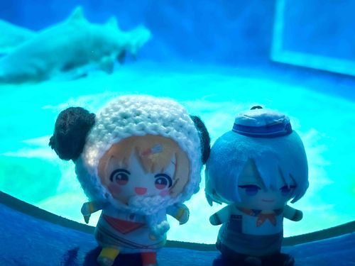水族館楽しかったね〜
友達のトラぱぺとぱしゃり