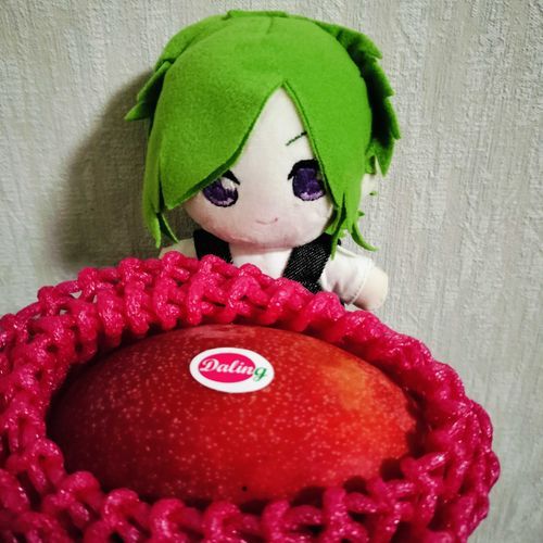 ぬいとマンゴー、初対面
「いい匂い…」