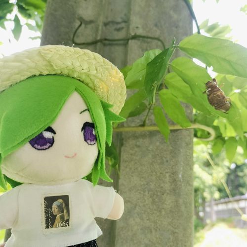 夏だね〜！