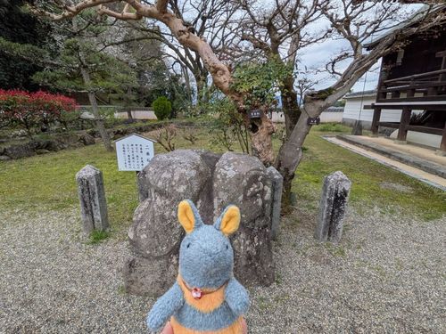 二面石なのだ
モアイのようなのだ