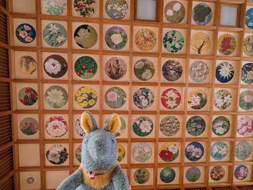 橘寺の天井がすごかったのだ🌸🌼🏵️