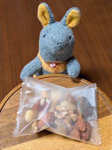今夜のおやつはナッツなのだ
かいぬしはコーラを取りに行ったのだけど何をするつもりなのだ？