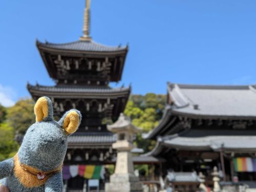 水間寺さんを見に行ってきたのだ！