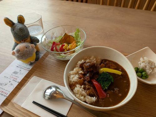 これはじじ殿とかいぬしとお昼に食べたハヤシライスなのだ