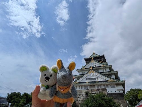 お久しぶりですのだ
大阪城に行ってきましたのだ