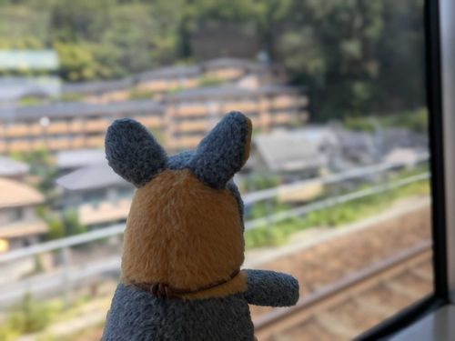 久しぶりのお出かけなのだ！