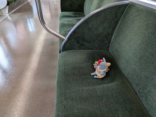 乗った電車が誰もいなくて貸し切りのようだったのだ